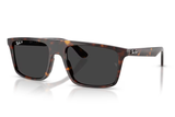 Ray-Ban Sunglass RB2222 (Pre_Booking)