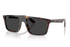 Ray-Ban Sunglass RB2222 (Pre_Booking)