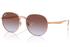Ray-Ban Sunglass RB3727D (Pre_Booking)