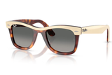 Ray-Ban Sunglass RB2240 (Pre_Booking)