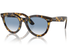 Ray-Ban Sunglass RB2241 (Pre_Booking)