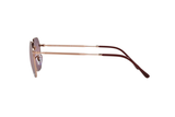 Ray-Ban Sunglass RB3694 (Pre_Booking)