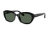 Ray-Ban Sunglass RJ9081S (Pre_Booking)