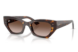 Ray-Ban Sunglass RB4430 (Pre_Booking)
