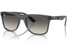 Ray-Ban Sunglass RB4413M (Pre_Booking)
