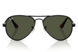 RAY-BAN Sunglasses RB3925