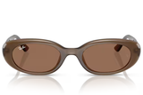 Ray-Ban Sunglass RB4441D (Pre_Booking)