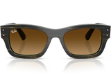Ray-Ban Sunglass RB7683S (Pre_Booking)