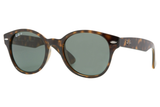 Ray-Ban Sunglass RB4141 (Pre_Booking)