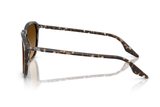 Ray-Ban Sunglass RB2203 (Pre_Booking)