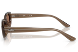 Ray-Ban Sunglass RB4441D (Pre_Booking)