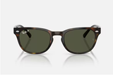 Ray-Ban Sunglass RB4141 (Pre_Booking)
