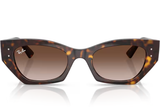 Ray-Ban Sunglass RB4430 (Pre_Booking)