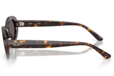 Ray-Ban Sunglass RB2223 (Pre_Booking)