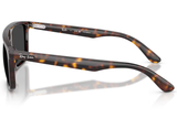 Ray-Ban Sunglass RB2222 (Pre_Booking)