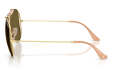 Ray-Ban Sunglass RB3029M (Pre_Booking)
