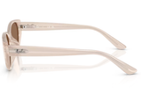 Ray-Ban Sunglass RB4457D (Pre_Booking)