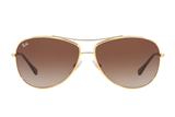 Ray-Ban Sunglass RB3293 (Pre_Booking)