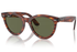 Ray-Ban Sunglass RB2241 (Pre_Booking)