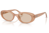 Ray-Ban Sunglass RB4441D (Pre_Booking)