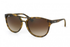 RAY-BAN Sunglasses RB4170