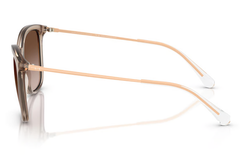 Armani Exchange Sunglasses AX4151S