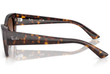 Ray-Ban Sunglass RB4430 (Pre_Booking)