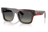 Ray-Ban Sunglass RB2217M (Pre_Booking)
