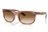Ray-Ban Sunglass RB2389 (Pre_Booking)