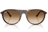 Ray-Ban Sunglass RB2215 (Pre_Booking)