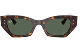 Ray-Ban Sunglass RB4430 (Pre_Booking)