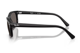 Ray-Ban Sunglass RB2224 (Pre_Booking)