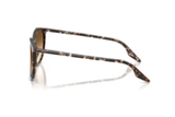 Ray-Ban Sunglass RB2204 (Pre_Booking)