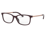 Michal Kors Frame MK4060U
