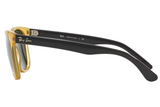 Ray-Ban Sunglass RB4184 (Pre_Booking)