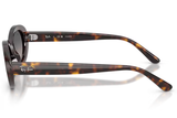 Ray-Ban Sunglass RB2223 (Pre_Booking)