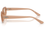 Ray-Ban Sunglass RB4441D (Pre_Booking)