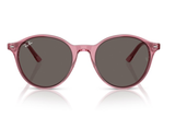 Ray-Ban Sunglass RB2230 (Pre_Booking)