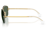 Ray-Ban Sunglass RB3761I (Pre_Booking)