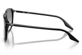 Ray-Ban Sunglass RB2203 (Pre_Booking)