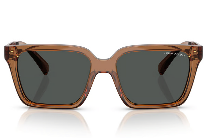 Armani Exchange Sunglasses AX4147S