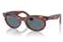Ray-Ban Sunglass RB2242 (Pre_Booking)