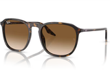 Ray-Ban Sunglass RB2203 (Pre_Booking)