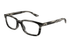 Mont Blanc Frame MB0458OL