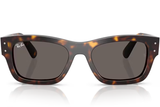 Ray-Ban Sunglass RB7683S (Pre_Booking)