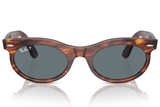 Ray-Ban Sunglass RB2242 (Pre_Booking)