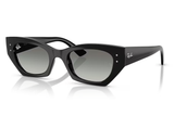Ray-Ban Sunglass RB4430 (Pre_Booking)