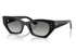 Ray-Ban Sunglass RB4430 (Pre_Booking)