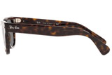 Ray-Ban Sunglass RB2204 (Pre_Booking)