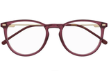 Carrera Frame CA 2050T